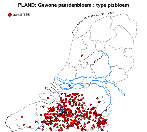 pisbloem